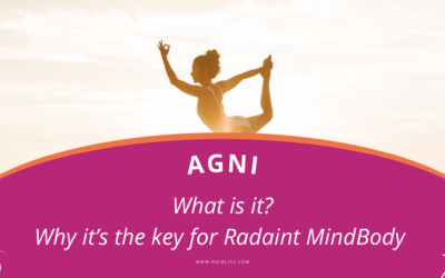What is Agni?
